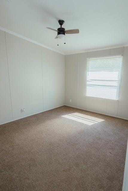 135 Princeton Lane E, Princeton LA 71067 - Photo 21