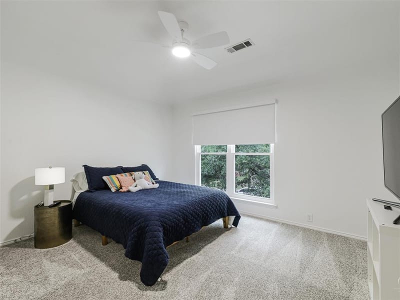2373 Falcon Point Drive, Frisco TX 75033 - Photo 27