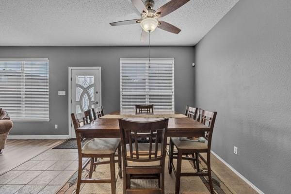4024 Busch Gardens Drive, Fort Worth TX 76123 - Photo 14