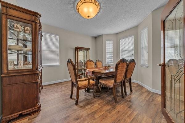 4024 Busch Gardens Drive, Fort Worth TX 76123 - Photo 15
