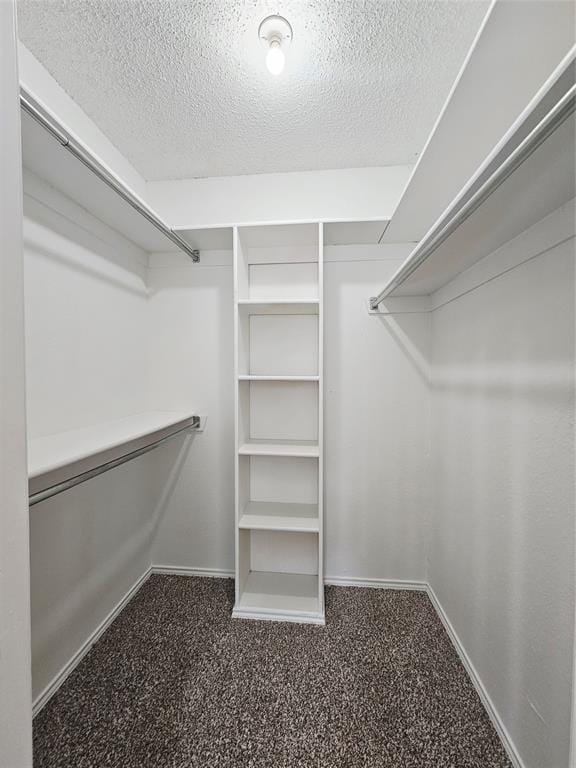 3921 Huckleberry Drive, Fort Worth TX 76137 - Photo 20
