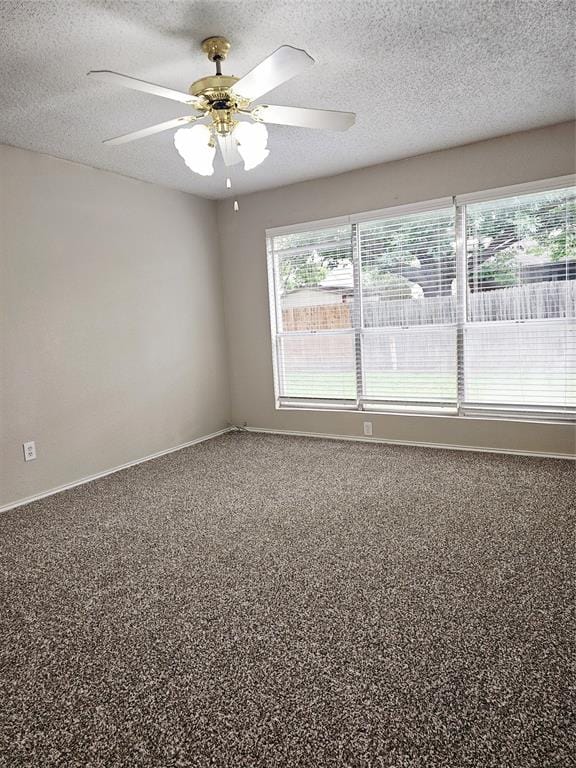 3921 Huckleberry Drive, Fort Worth TX 76137 - Photo 30