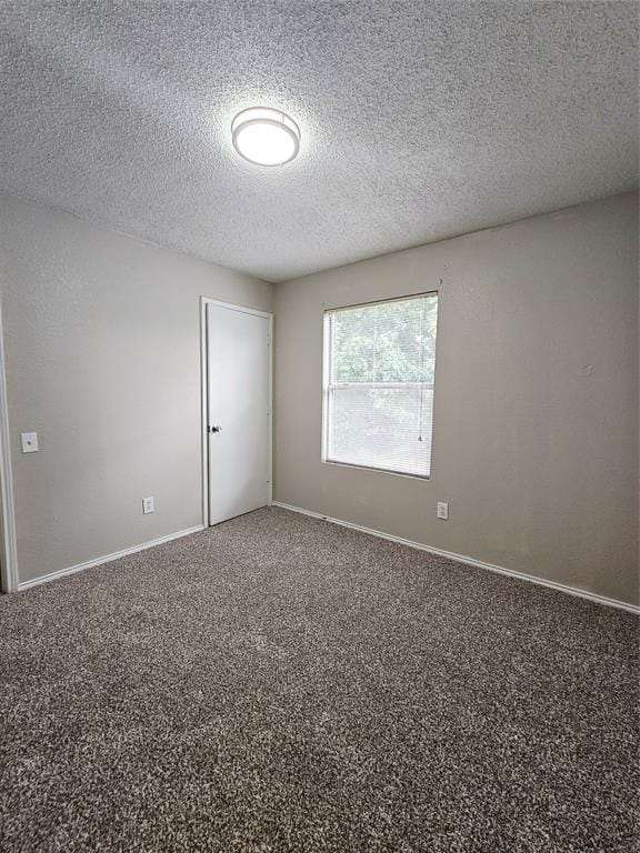 3921 Huckleberry Drive, Fort Worth TX 76137 - Photo 37