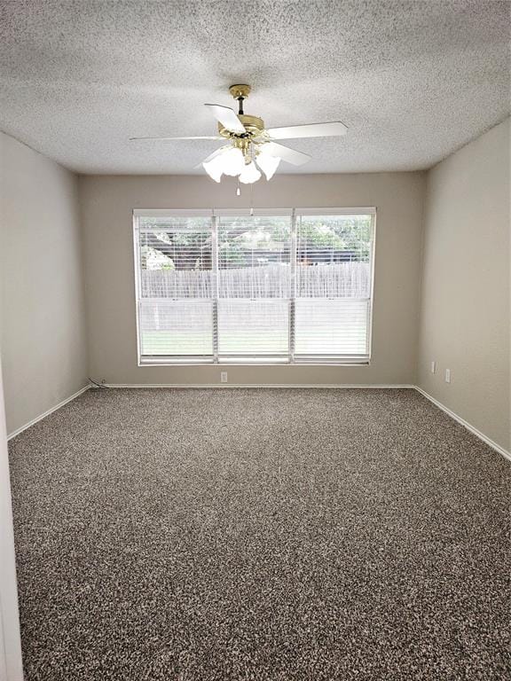 3921 Huckleberry Drive, Fort Worth TX 76137 - Photo 29