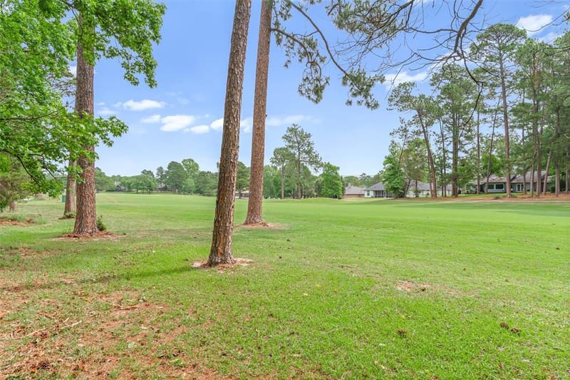 442 Greenbriar Trail, Holly Lake Ranch TX 75765 - Photo 37