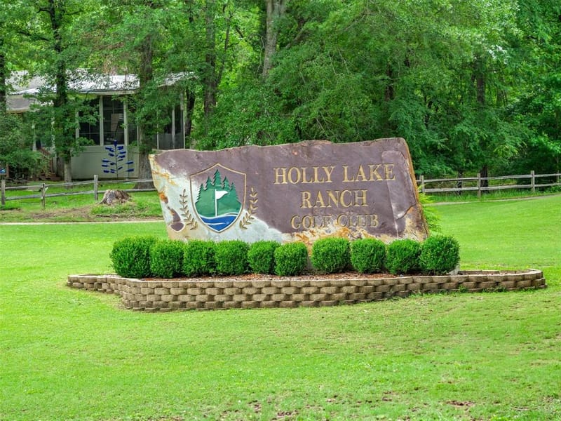 442 Greenbriar Trail, Holly Lake Ranch TX 75765 - Photo 39