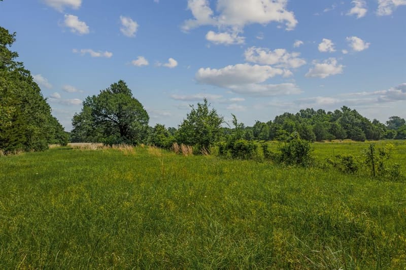 10398 Fm 429, Kaufman TX 75142 - Photo 23
