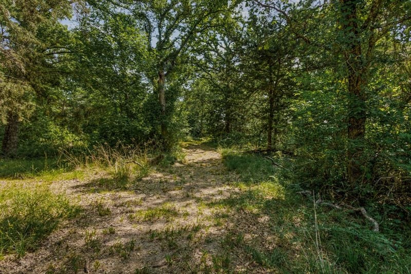 10398 Fm 429, Kaufman TX 75142 - Photo 22