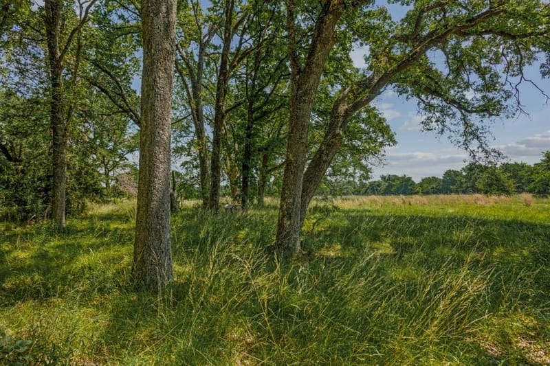 10398 Fm 429, Kaufman TX 75142 - Photo 14