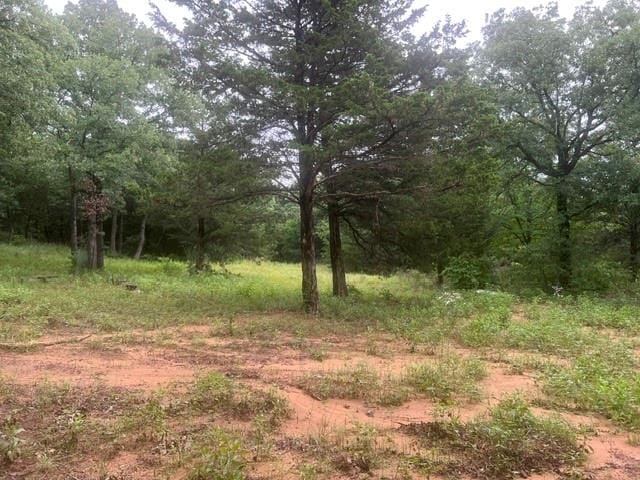 924 The Oil Road, Gainesville TX 76240 - Photo 14