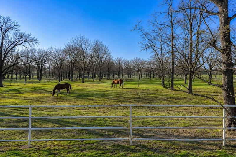 168 Country Drive, Waco TX 76705 - Photo 6