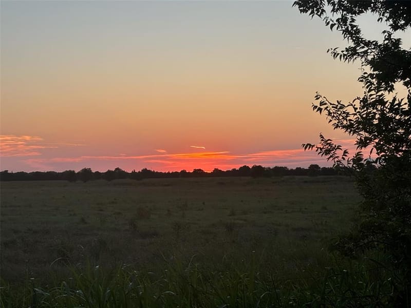 7478 County Road 1020, Wolfe City TX 75496 - Photo 28