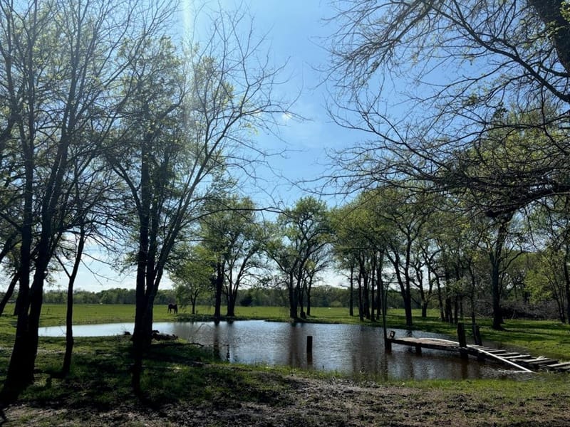 7478 County Road 1020, Wolfe City TX 75496 - Photo 4