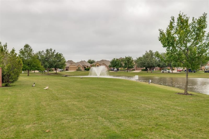 157 Charleston Lane, Fate TX 75189 - Photo 17