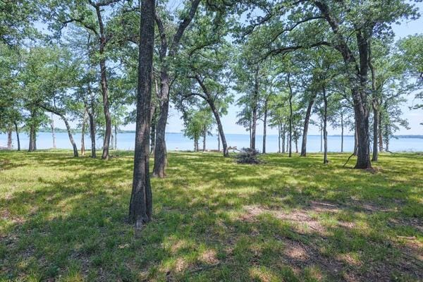 721 Paradise Cove, Shady Shores TX 76208 - Photo 28