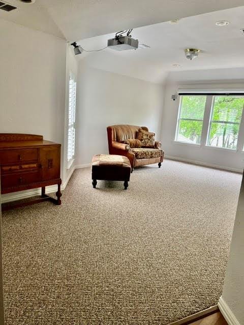 721 Paradise Cove, Shady Shores TX 76208 - Photo 25