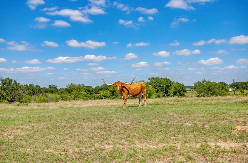 5520 Dido Hicks Road, Fort Worth TX 76179 - Photo 28