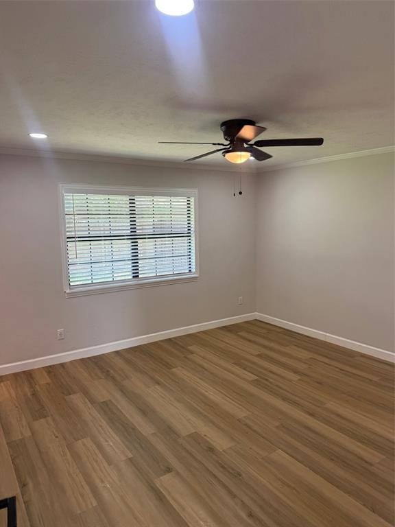 531 Hightrail Drive, Allen TX 75002 - Photo 13
