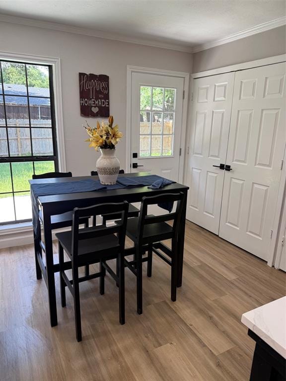 531 Hightrail Drive, Allen TX 75002 - Photo 7