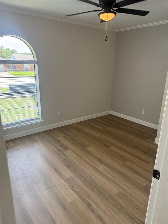 531 Hightrail Drive, Allen TX 75002 - Photo 15