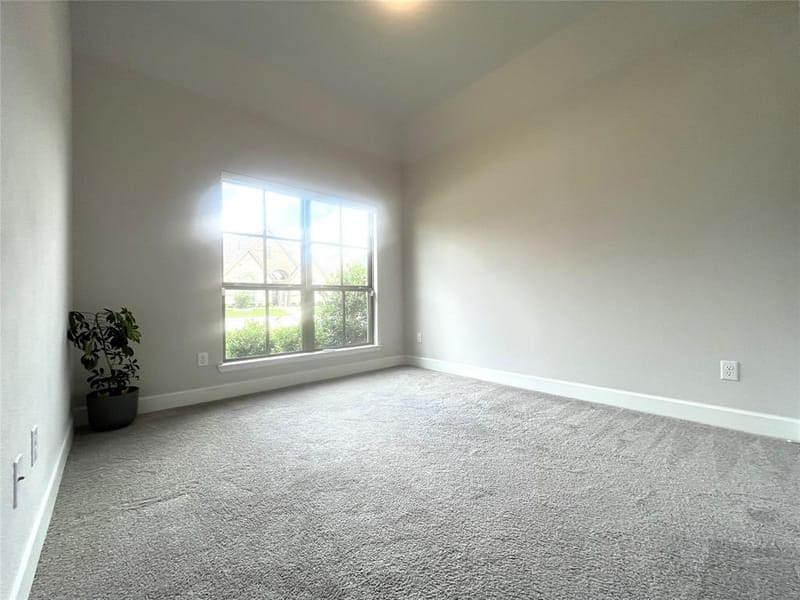 2834 Midlake Drive, Midlothian TX 76065 - Photo 26