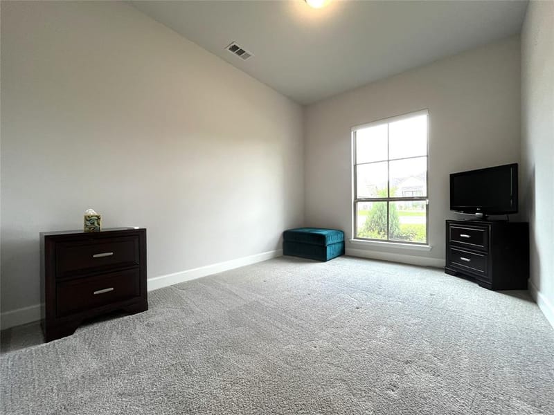 2834 Midlake Drive, Midlothian TX 76065 - Photo 29