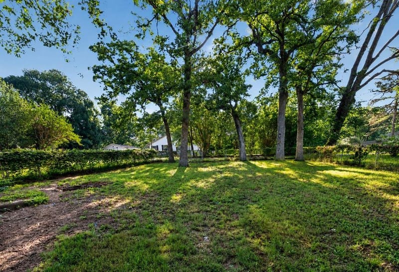 1001 Leaning Oak Drive, Tool TX 75143 - Photo 10