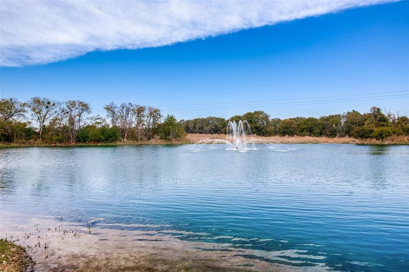 2491 Meadowbrook Boulevard, Prosper TX 75078 - Photo 35