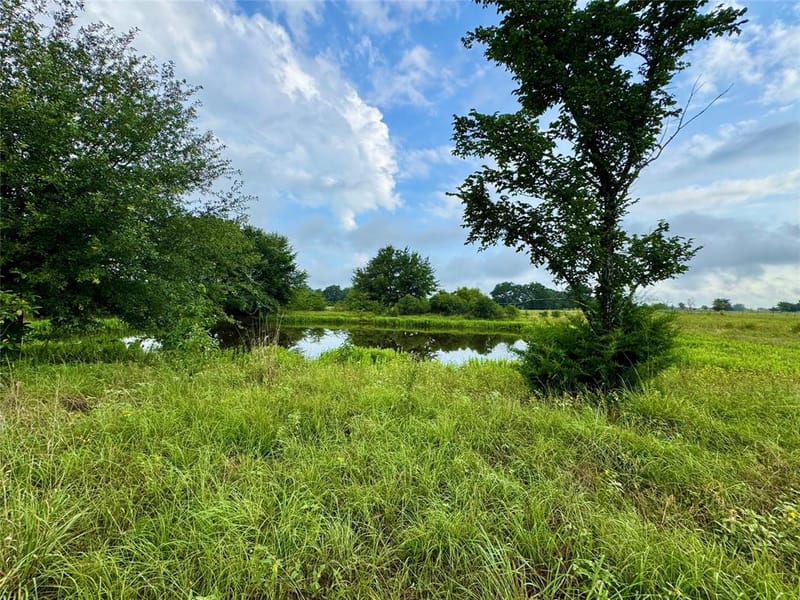 6655 County Road 118, Kaufman TX 75142 - Photo 36