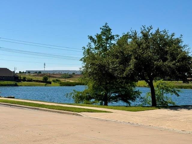 4521 Lakeside Hollow Street, Fort Worth TX 76262 - Photo 35