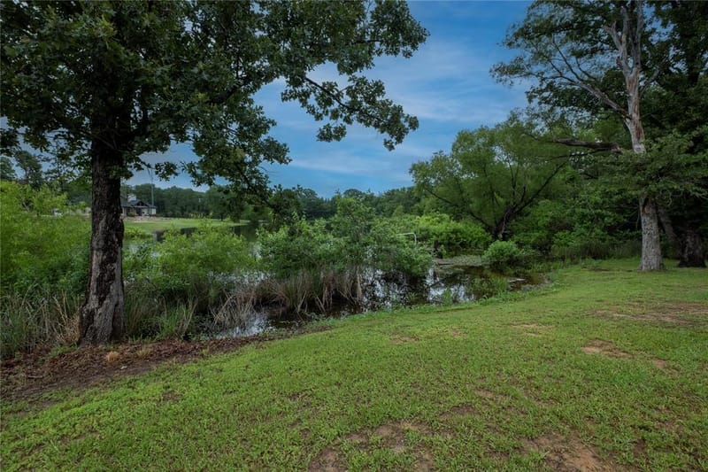 786 Vz County Road 1803, Grand Saline TX 75140 - Photo 28