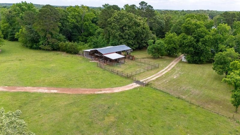 8150 Texas Highway 37 S, Winnsboro TX 75494 - Photo 36