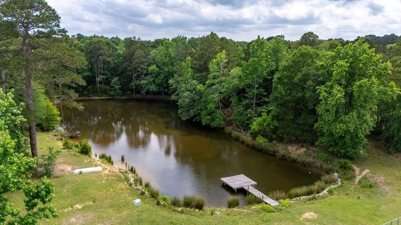 8150 Texas Highway 37 S, Winnsboro TX 75494 - Photo 35
