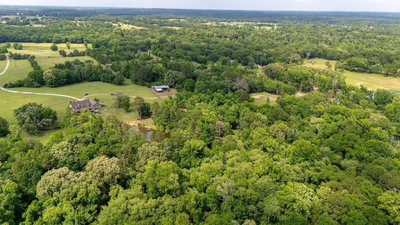 8150 Texas Highway 37 S, Winnsboro TX 75494 - Photo 39