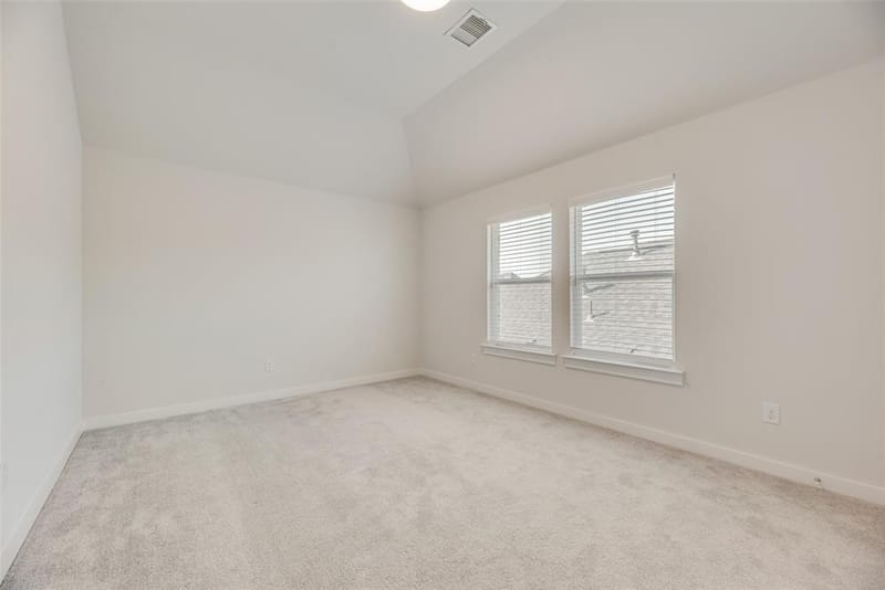 3619 Doramus Drive, Celina TX 75009 - Photo 24