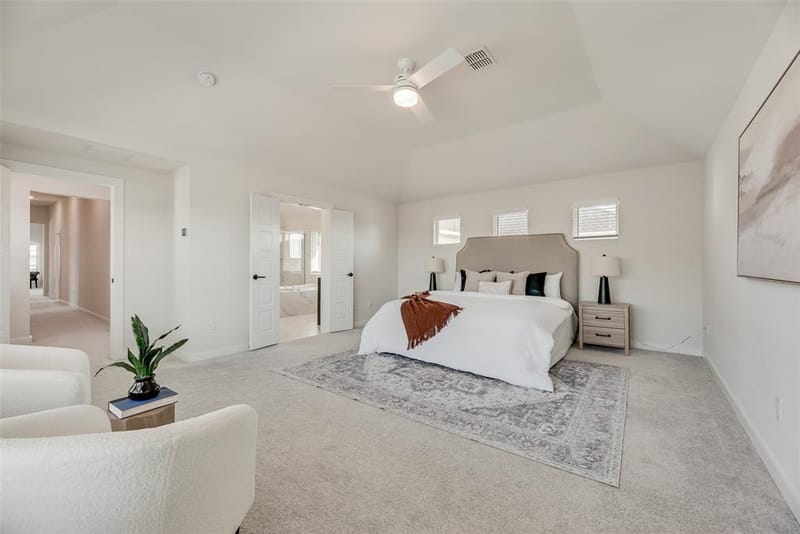3619 Doramus Drive, Celina TX 75009 - Photo 19