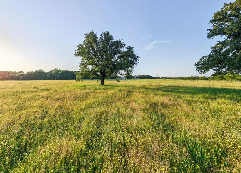 923 Natty Flat Road, Lipan TX 76462 - Photo 13