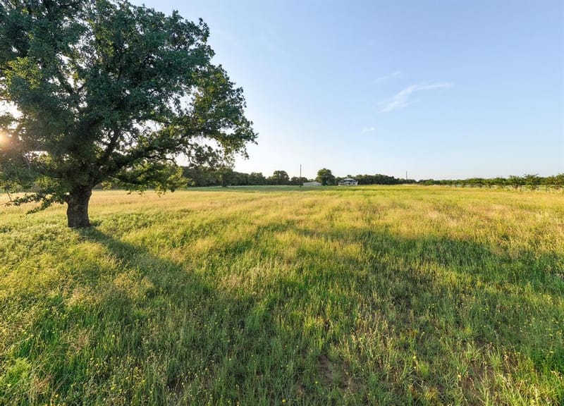 923 Natty Flat Road, Lipan TX 76462 - Photo 40