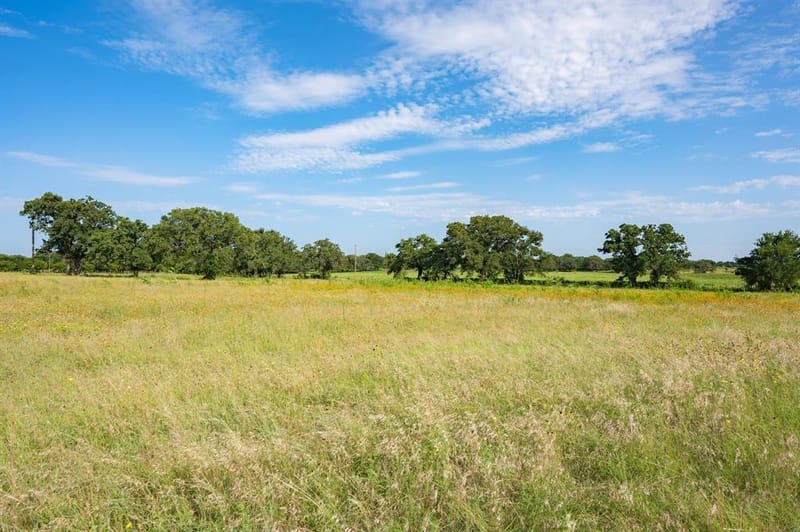923 Natty Flat Road, Lipan TX 76462 - Photo 39