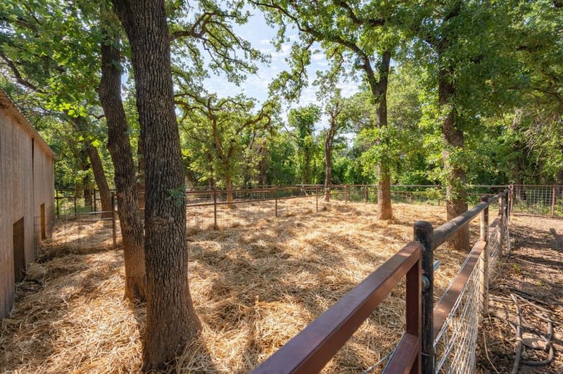 923 Natty Flat Road, Lipan TX 76462 - Photo 29