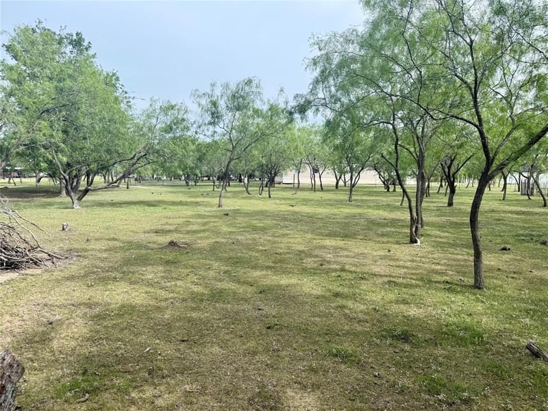 1132 SW County Road 2348, Richland TX 76681 - Photo 23