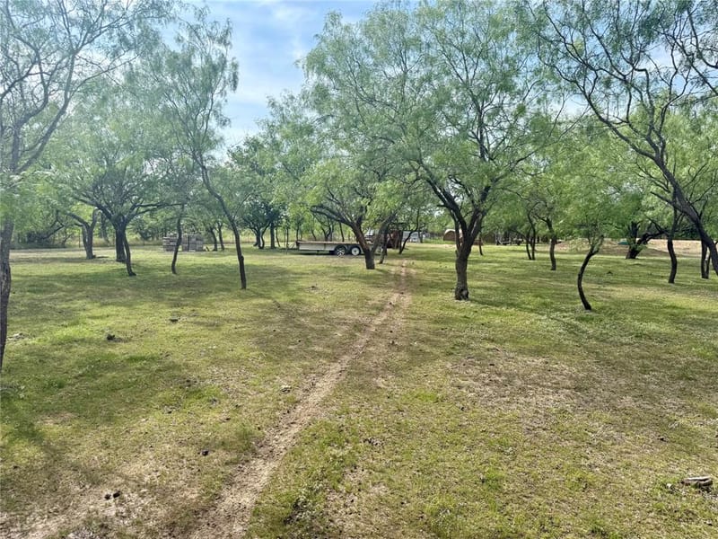 1132 SW County Road 2348, Richland TX 76681 - Photo 18