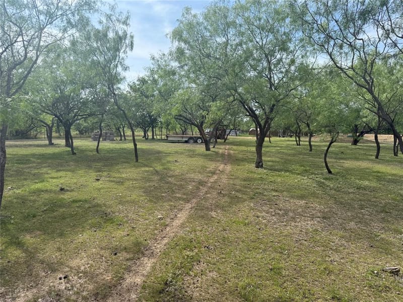 1132 SW County Road 2348, Richland TX 76681 - Photo 15