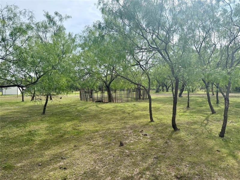 1132 SW County Road 2348, Richland TX 76681 - Photo 19
