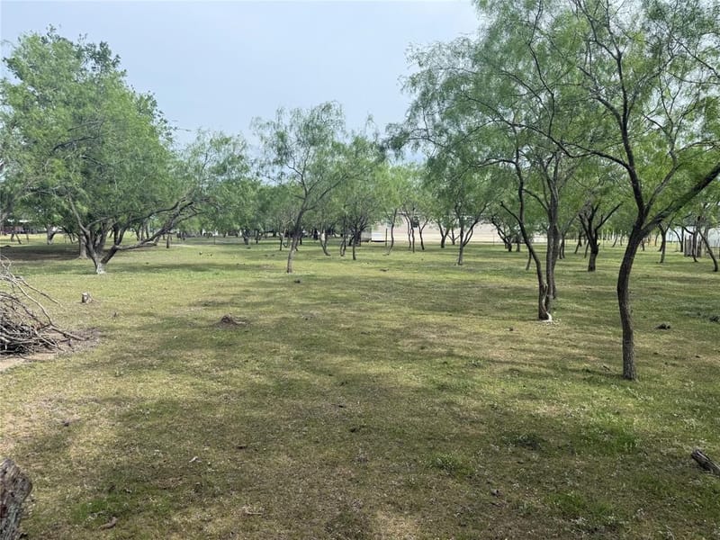 1132 SW County Road 2348, Richland TX 76681 - Photo 8