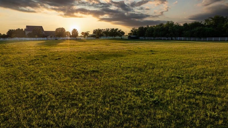 6670 Green Valley Circle, Aubrey TX 76227 - Photo 28