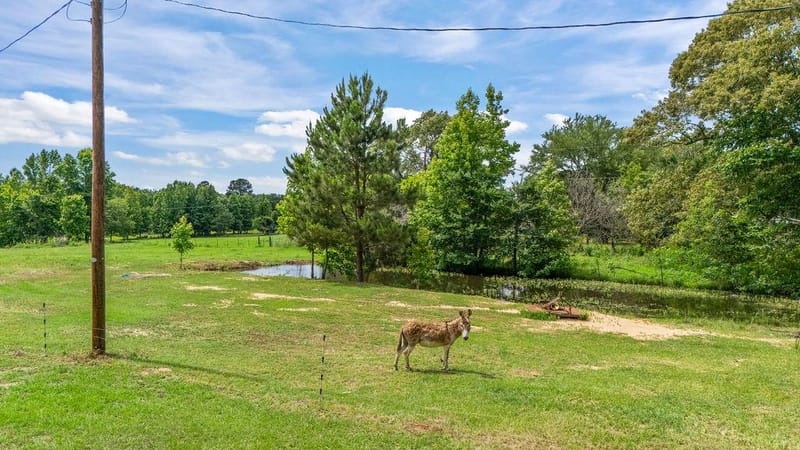 1122 County Road 3750, Hawkins TX 75765 - Photo 6