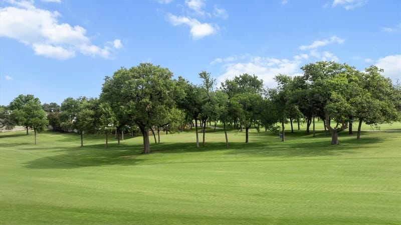 4407 Overlook Court, Granbury TX 76049 - Photo 28