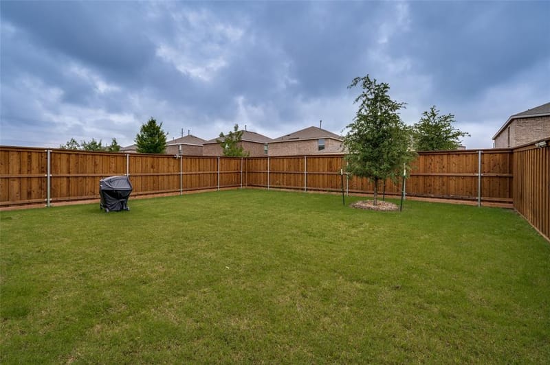 221 Ashbrook Street, Little Elm TX 75068 - Photo 20