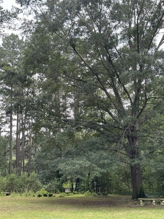 483 County Road 2140, Quitman TX 75783 - Photo 32